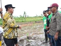 Menanam Cavendish di Polman, Pj Bahtiar Serukan Anak Muda Tidak Perlu Lagi ke Kota Cari Kerjaan