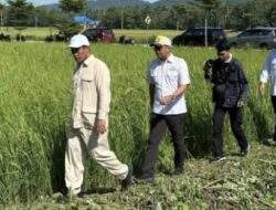 Mentan Amran Menelusuri Jaringan Irigasi di Konawe Demi Swasembada Pangan