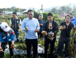 Pemprov Akan Bagi Bibit Hortikultura, Ini Imbauan Pj Bahtiar