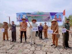 Tradisi Nenek Moyang! Bupati Suardi Saleh Hadiri Mappalili di Desa Balusu