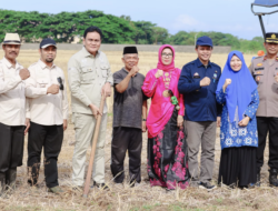 Bupati Barru Tekankan Pentingnya Kebersamaan dalam Mappalili untuk Tingkatkan Produksi Pertanian