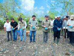 Bupati Barru Tanam Jagung Bersama dan Berikan Bantuan untuk Petani di Tanete Riaja