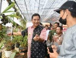 Etalase Anggrek dan Pembibitan Holtikultura, Pusat Promosi dan Edukasi serta Wisata Baru