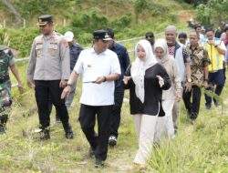 Tebar Benih Nila di Tobadak, Ketua DPRD: PJ Bahtiar Tanamkan Pondasi Kuat Untuk Kemajuan Sulbar Kedepan