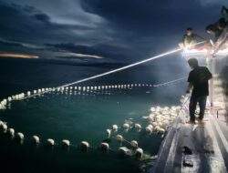 Dinas KP Sulbar Genjot Produksi Ikan Untuk Memenuhi Kebutuhan Warga Selama Ramadan