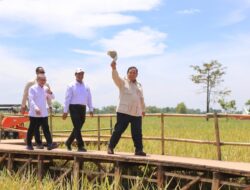 Prabowo Apresiasi Gerak Cepat Mentan Amran: Tiap Saya Cari, Beliau Selalu Ada di Sawah