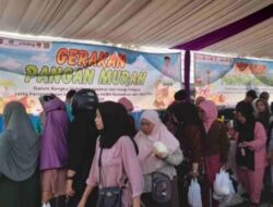 Branding hingga Pemasaran Online: Koperindag Sulbar Siapkan UMKM Masuki Era Digital