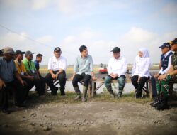 Sering Turun ke Sawah, Mentan Amran Dipuji Wapres Gibran Hingga Presiden Prabowo