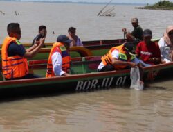 Bupati Sidrap Tebar 286 Ribu Bibit Ikan di Danau Sidenreng