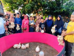 Peduli Anak Yatim Jelang Hari Raya Idul Adha “Jamaah Masjid Jami Nurul As’adiyah Callaccu Salurkan Bantuan Ayam Potong