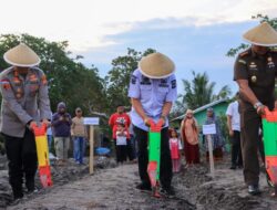 Bupati Pinrang Irwan Hamid dan Forkopimda Ikut Tanam Jagung Serentak, Dukung Kemandirian Pangan Nasional