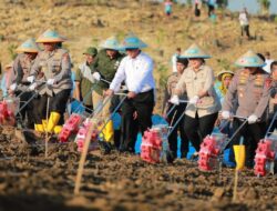 Tanam Jagung Serentak Bersama POLRI, Mentan Amran: Bukti Sinergi Pemerintah untuk Sektor Pertanian