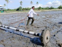 Bupati Sidrap Syaharuddin Alrif Tanam Benih Langsung di Allakkuang, Dukung Program IP300