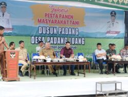 Bupati Irwan Syukuri Panen Melimpah di Padangloang, Produktivitas Capai 6,5 Ton