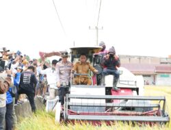 Panen Raya di Bila Riase, Bupati Sidrap Dorong Modernisasi Pertanian Demi Peningkatan Produksi dan Kesejahteraan Petani