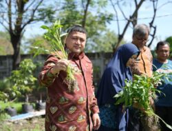 Kunjungi Dua Lokasi, Appi Pastikan Urban Farming Jadi Prioritas di Semua Kecamatan