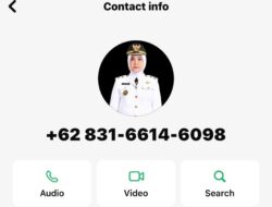 Waspada! Nama Aliyah Mustika Ilham Dicatut untuk Penipuan