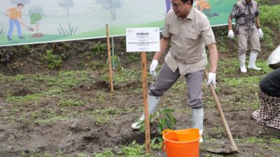 Di Pesisir Danau Toba, Taruna Ikrar Terus Galakkan Tanam Sejuta Pohon untuk Indonesia