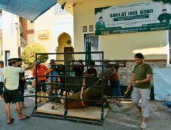 Iduladha 1447 H, Masjid Al Ikhlas Manggala Salurkan Daging Kurban untuk Ratusan Warga