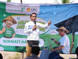 Sidak Sawah di Maritengngae, Bupati Sidrap Syaharuddin Alrif Bocorkan Resep Rahasia Panen 10 Ton: Gabungkan Teknologi Pirazo & Mekanisasi!