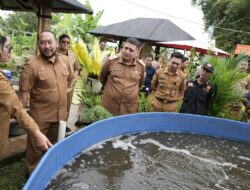 Perkuat Ketahanan Pangan, Munafri Instruksikan Urban Farming di Seluruh Wilayah untuk Pasok Program MBG