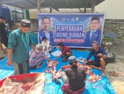 Momentum Berbagi di Hari Idul Adha, Anggota DPR RI H Andi Muzakkir Aqil Berkurban 1 Ekor Sapi di Kabupaten Maros
