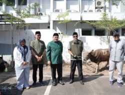 Semangat Gotong Royong, KORPRI Makassar Sembelih 9 Sapi Kurban Bagikan ke Petugas Kebersihan