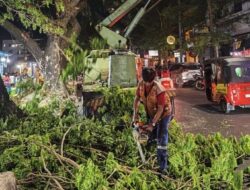 Antisipasi Area Gelap Saat Subuh, DLH Bersihkan Koridor Lintasan Pelari Makassar Half Marathon 2026