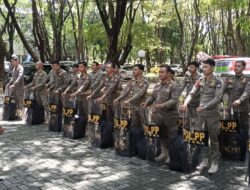 Pemprov Sulsel Dorong Dugaan Penipuan Berkedok Rekrutmen Diproses Hukum