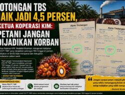 Petani Resah, Koperasi KIM Desak PT TWP Jelaskan Dasar Kenaikan Potongan TBS