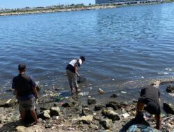 Kecamatan Ujung Pandang Gerak Cepat Angkut Sampah, Kini Pesisir Pantai Losari Kembali Bersih