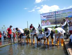 Pemprov Sulsel: Pelestarian Mangrove Butuh Kolaborasi Semua Pihak