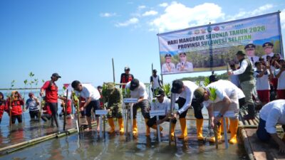 Pemprov Sulsel: Pelestarian Mangrove Butuh Kolaborasi Semua Pihak