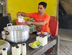 Peternak Desa Tanete Sidrap Sukses Kembangkan Usaha Sapi, Hasilkan Susu dan Olahan hingga Luar Kabupaten