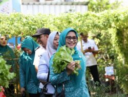 Dorong Ketahanan Pangan Keluarga, TP PKK Makassar Nilai Kebun Aku Hatinya PKK