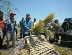Hadapi Musim Kering, Pemkot Perkuat Dukungan Sarana Pertanian dan Teknologi untuk Petani Makassar