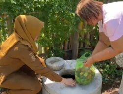 Kelurahan Panaikang Jawab Kekhawatiran Warga soal Pemilahan Sampah dengan Fasilitas Lengkap