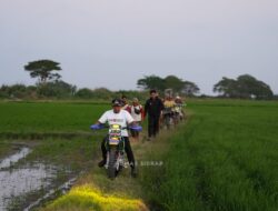 Bupati Sidrap, Syaharuddin Alrif Cek Sawah Arateng, Serahkan 18 Pompa Air untuk Petani