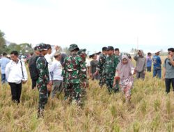 Langit Sidrap Diramaikan Aksi Prajurit Kostrad dalam Terjun Payung Penyegaran Statik