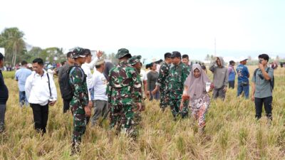 Langit Sidrap Diramaikan Aksi Prajurit Kostrad dalam Terjun Payung Penyegaran Statik