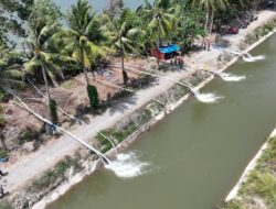 Gubernur Sulsel Serahkan Bantuan 10 Unit Pompa Ponton untuk Petani Pinrang, Atasi Kekeringan di Musim Tanam Sela