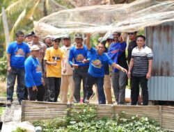 Panen Padi dan Ikan  di Tengah El Niño, Bupati Syaharuddin Ungkap Potensi Besar Sidrap